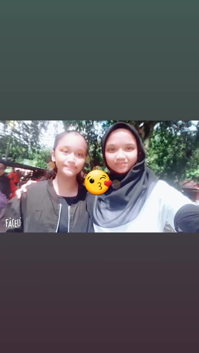 P6 Alia