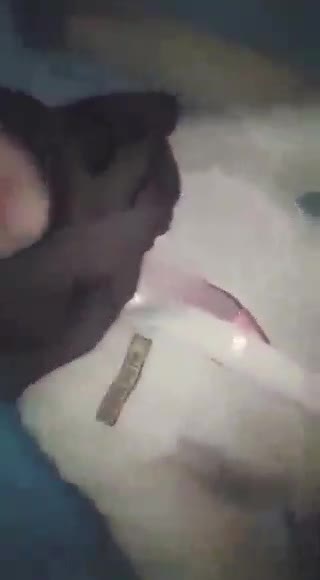 Video Viral Terbaru pramuka remas toket PEMERSATUDOTFUN