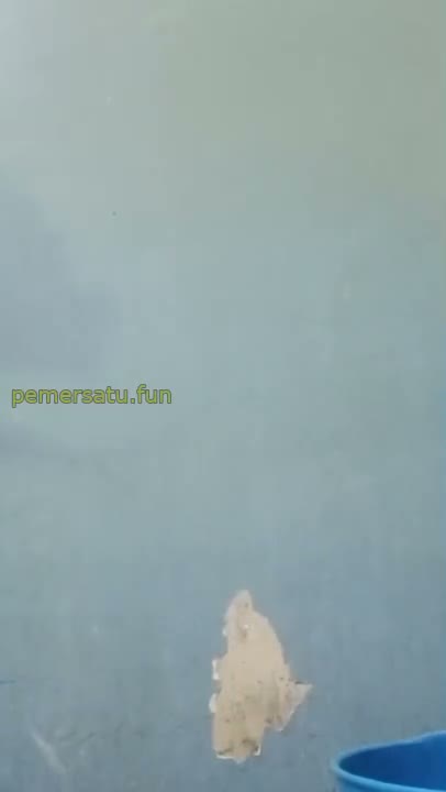  bokep terbaru Ciya Vencuy Abg 18Yo Cakep Mandi Pagi