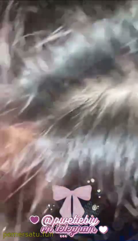 Video Viral Terbaru Dood – P40 Biya Pwetiebiy Cakep Abg 18Yo Update 40 PEMERSATUDOTFUN