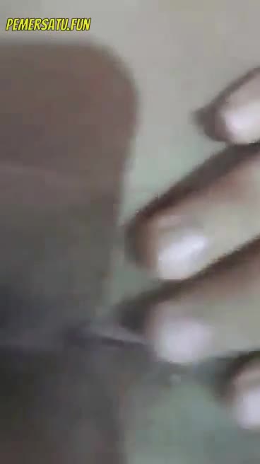 P1 Koleksi Lengkap Miss Bea Pemersatu Dot Fun P1