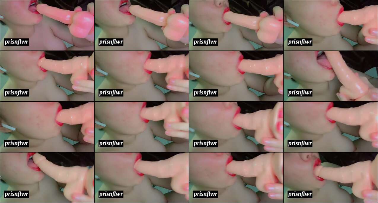 ass.gdav.top-DS prisnflwr sunflower (77) - nqd699t9z9f9