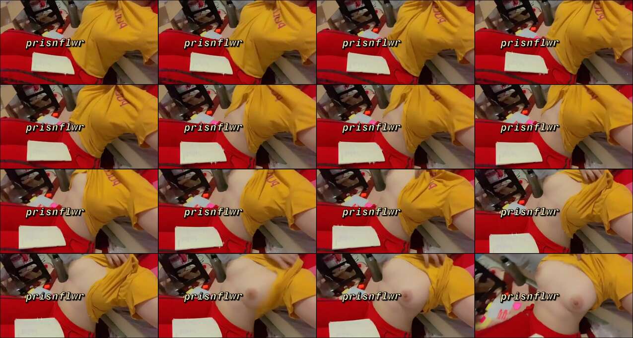 ass.gdav.top-DS prisnflwr sunflower (71) 3c5b7ni4n4hg