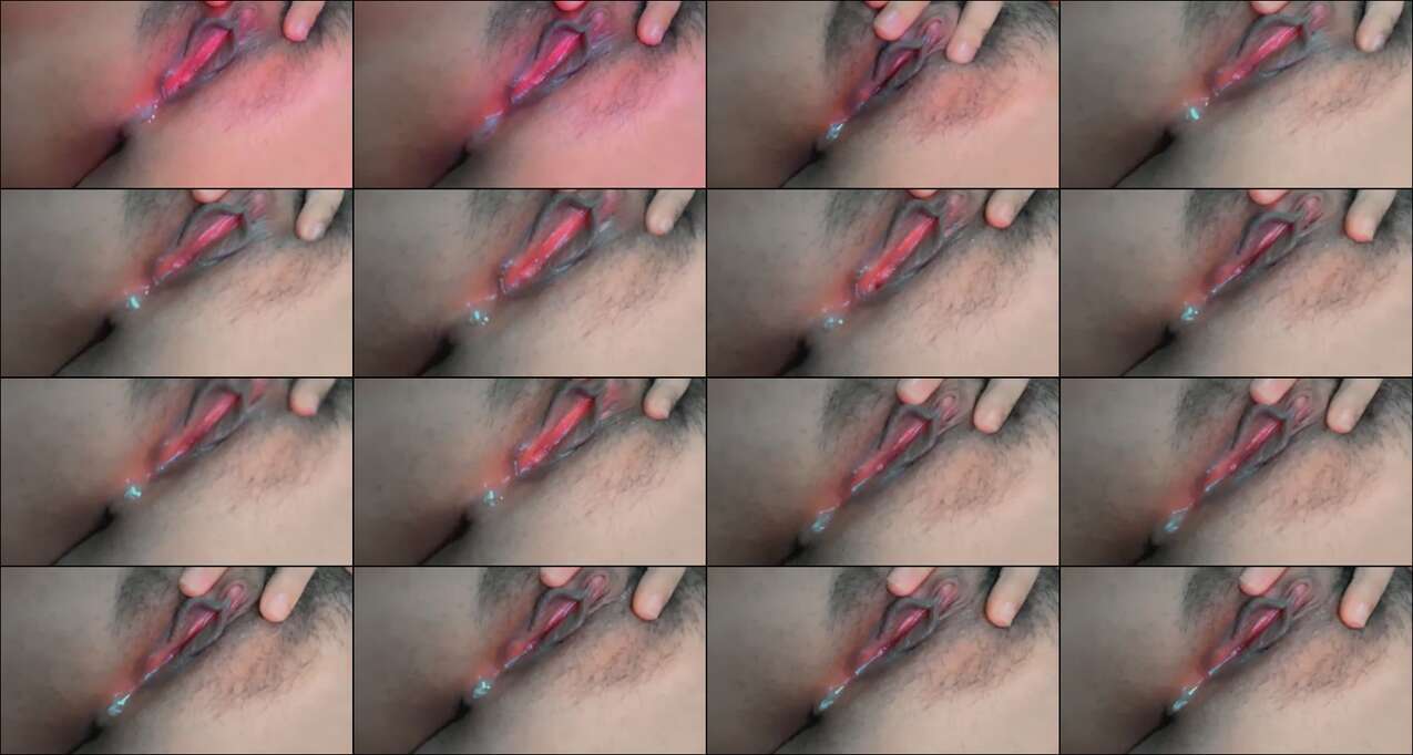 ass.gdav.top-DS prisnflwr sunflower (1) j91c5u0ljy2b