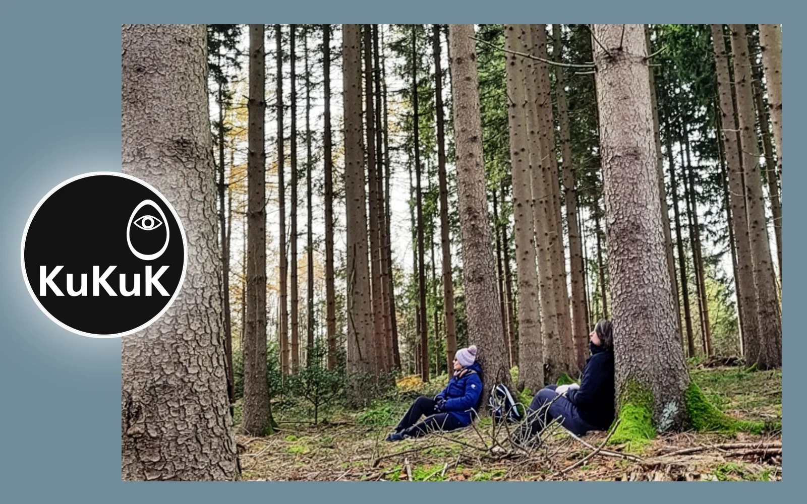forest bathing > ticketree