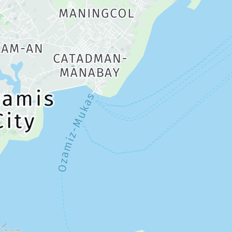 Ozamiz Tide Times And Weather Tides Today Large 3070 