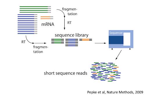 Tidytranscriptomics Ismb2021tidytranscriptomics - Professional Landscape Wallpaper - 8K