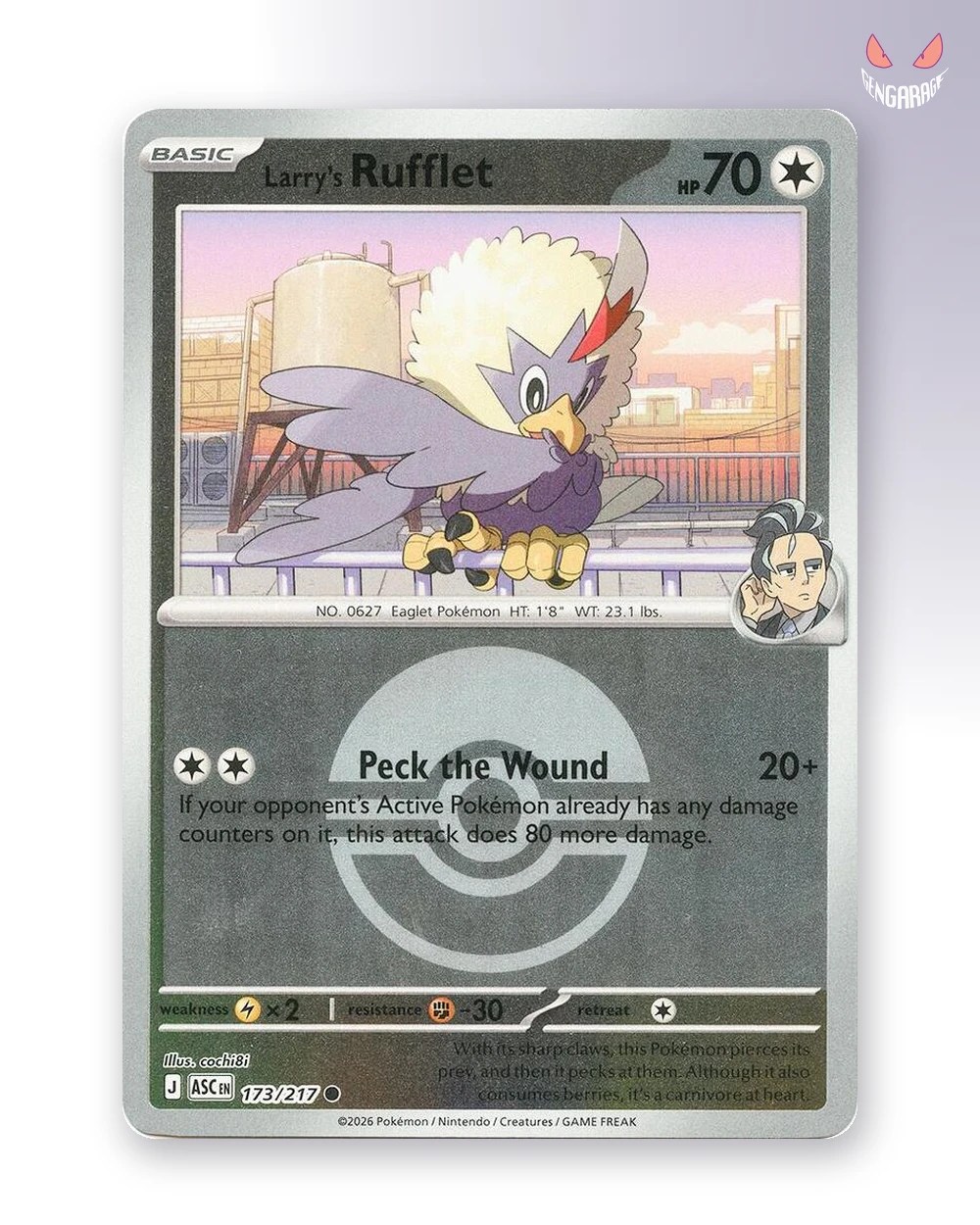 Larry's Rufflet  173 [Pokeball] [NM] - Ascended Heroes