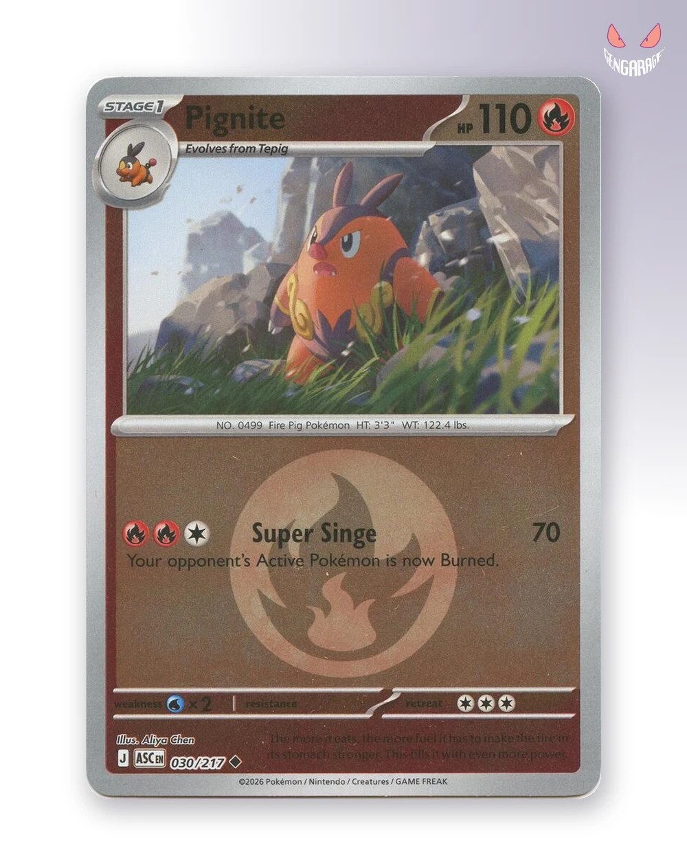 Pignite 30 [Energy] [NM] - Ascended Heroes