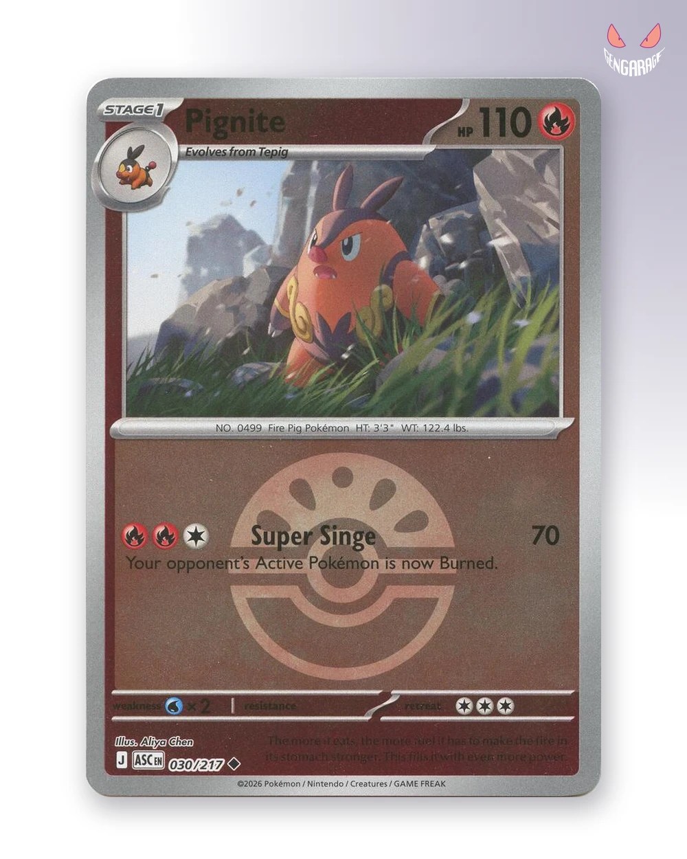 Pignite 30 [Friend Ball] [NM] - Ascended Heroes