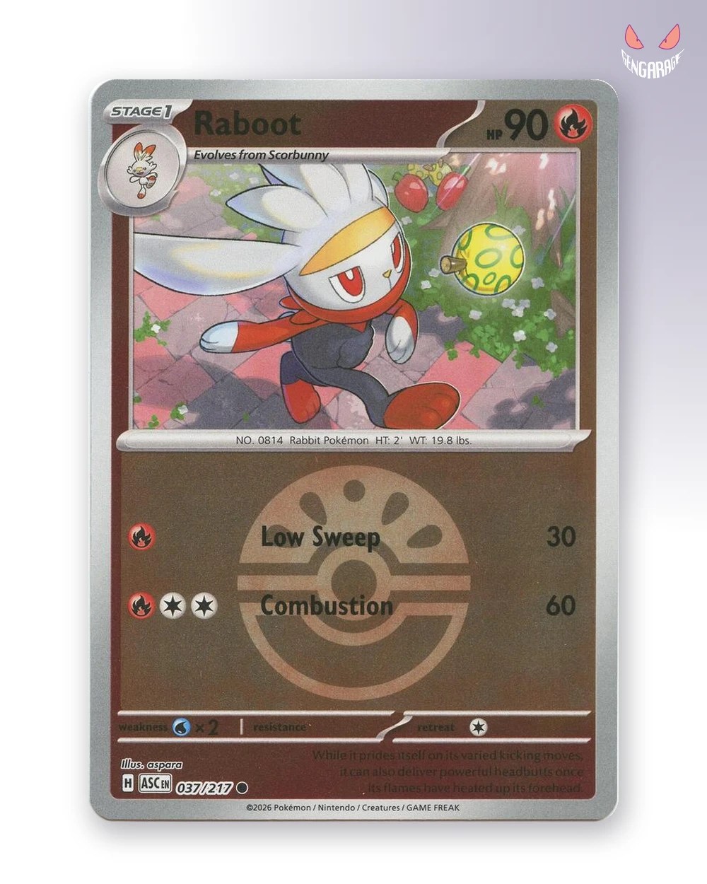 Raboot 37 [Friend Ball] [NM] - Ascended Heroes