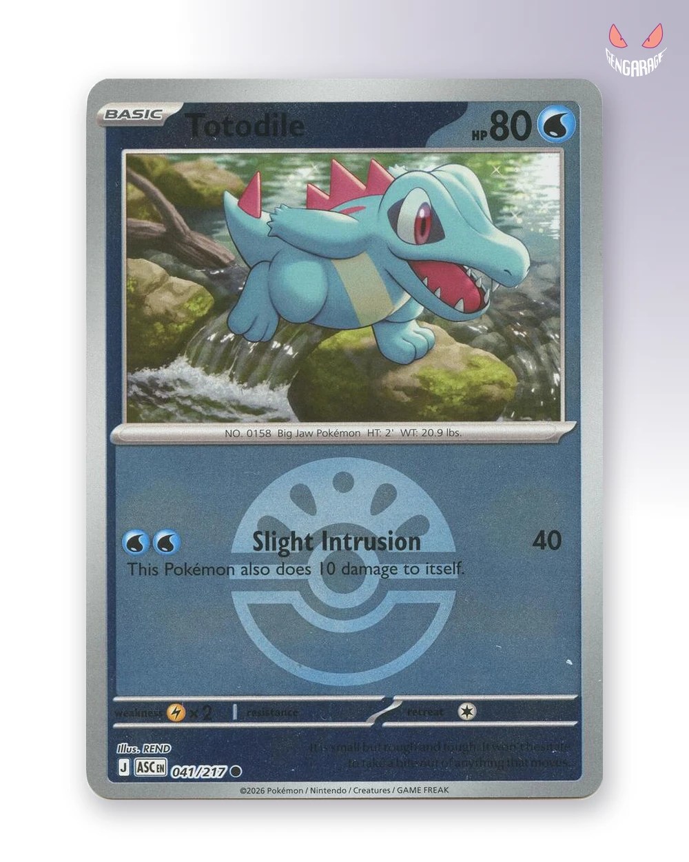 Totodile 41 [Friend Ball] [NM] - Ascended Heroes