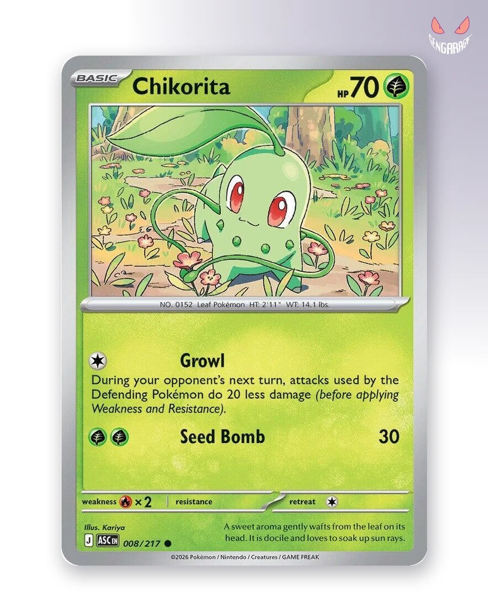 Chikorita 8 [NM] - Ascended Heroes