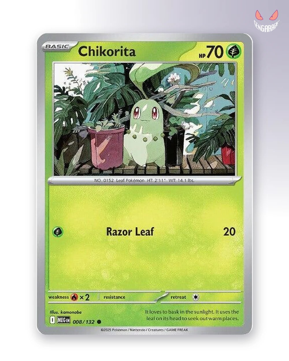 Chikorita 8 [RH] [NM] - Mega Evolution