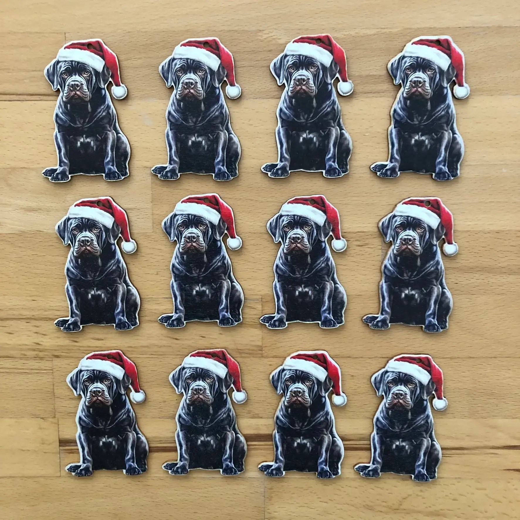 0010-cane-corso