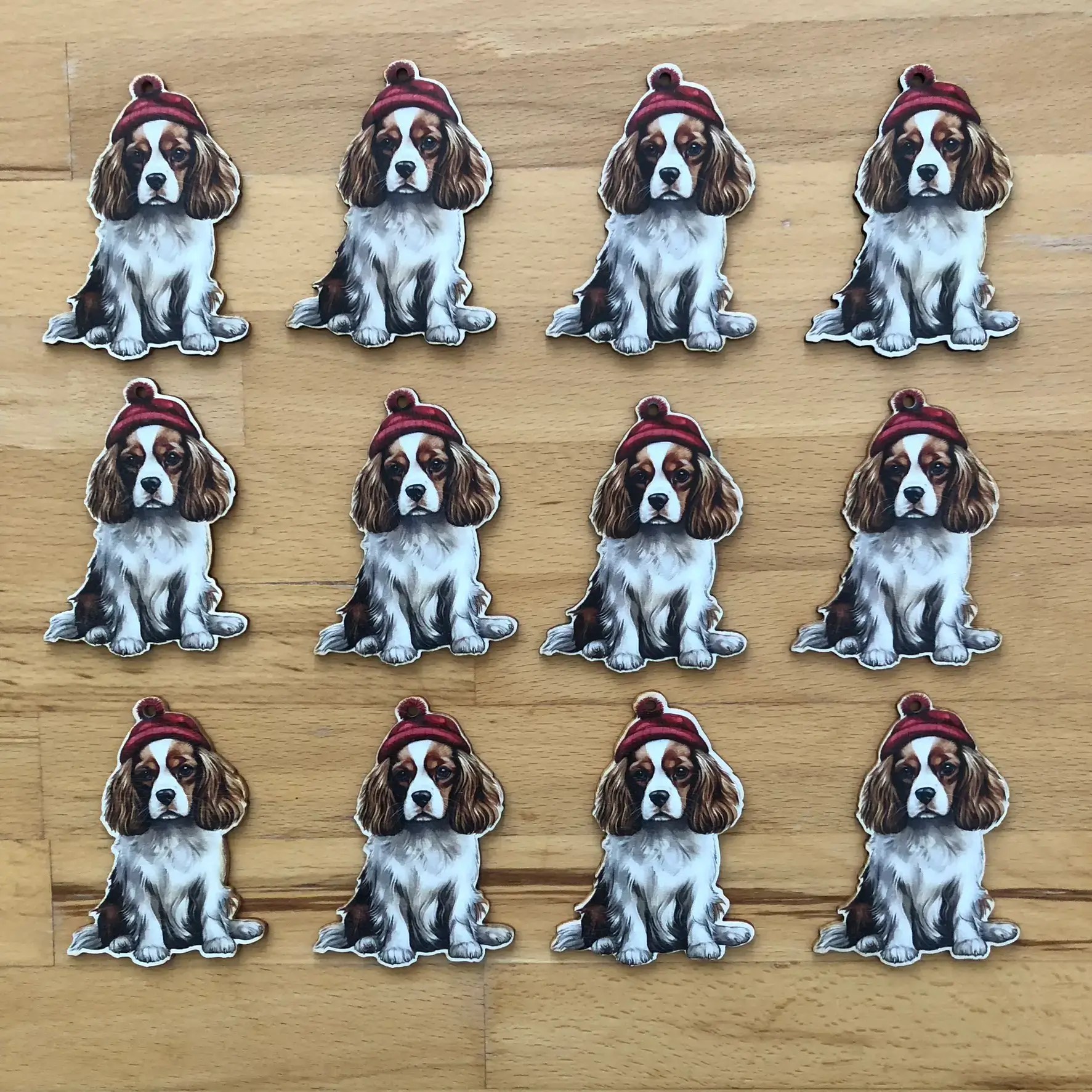 0010-cavalier-king-charles