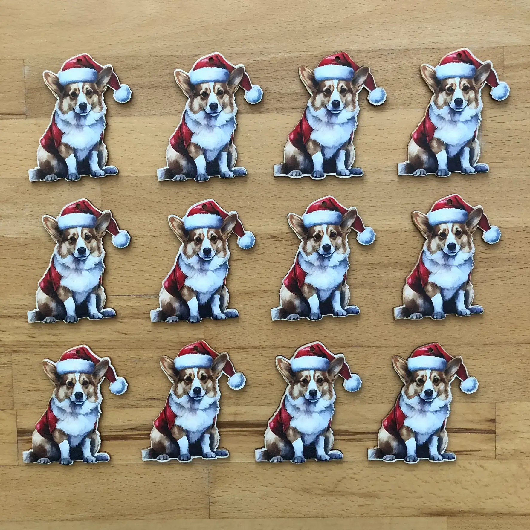 0010-corgi