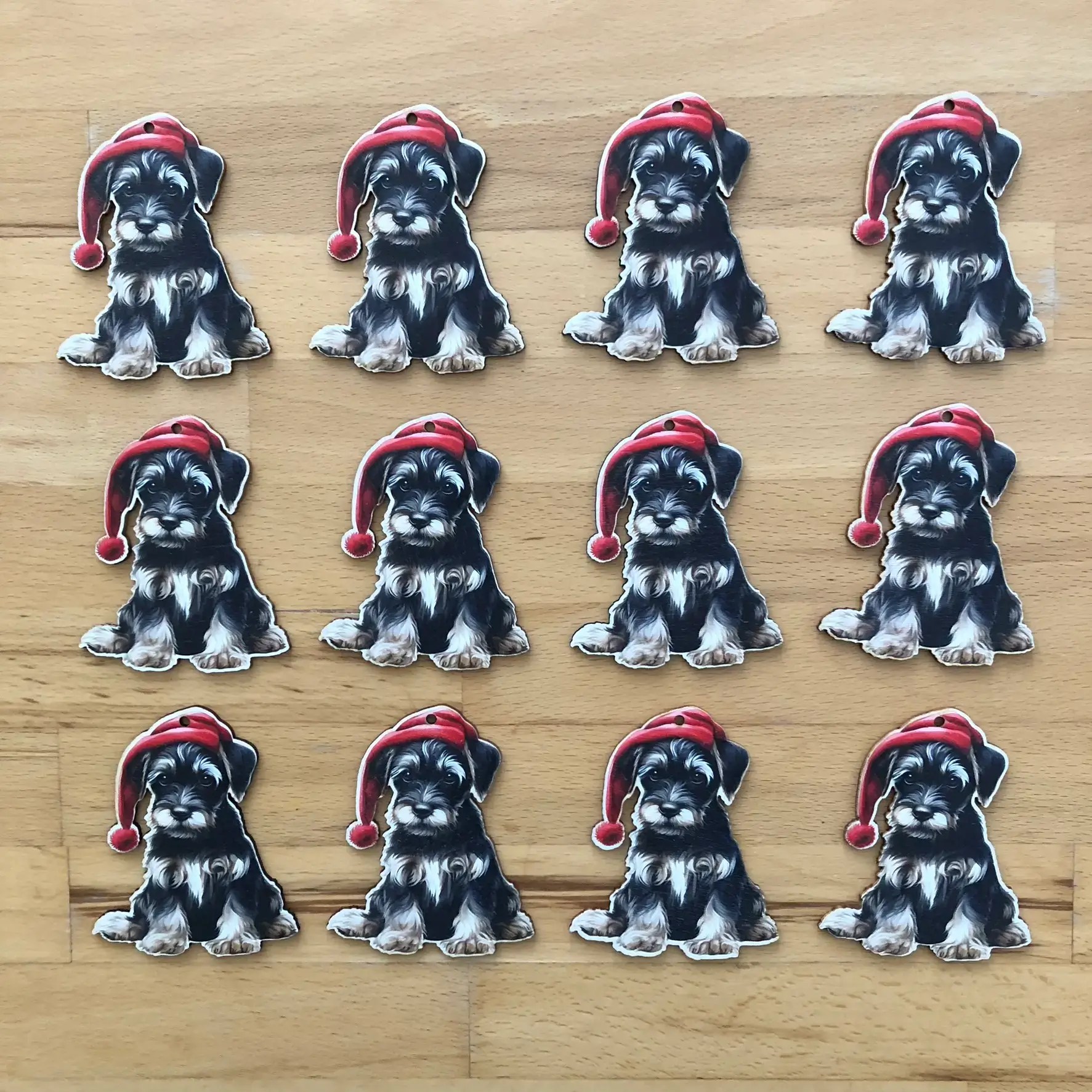 0010-schnauzer-terrier