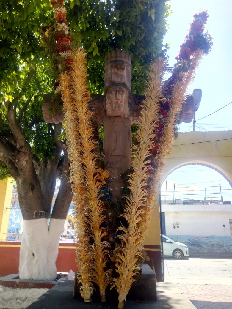 Título: Enigmático. Autor: Dalia Margarita Vázquez Canchola Fecha:01/05/19 Tipo de cámara: Moto E