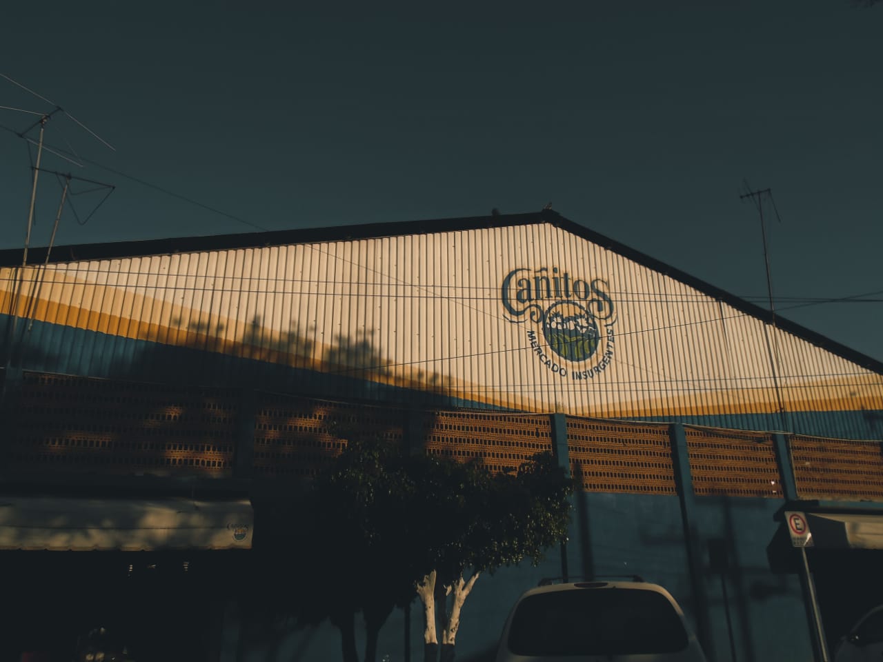 Autor: Emilio Castro Morales Fecha: 06/02/19 Tipo de cámara: Digital Sony Ciber Shot