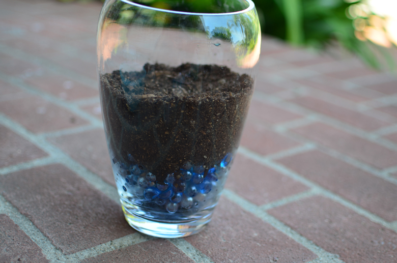 Finished Herbal Terrarium!