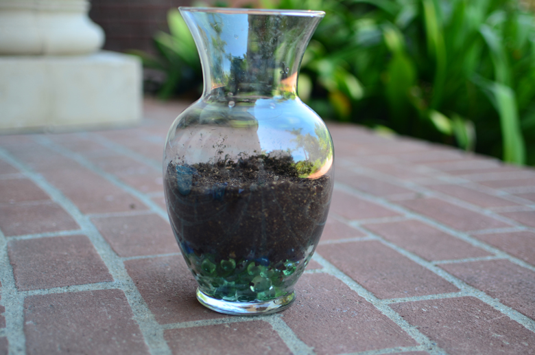 Finished Herbal Terrarium!