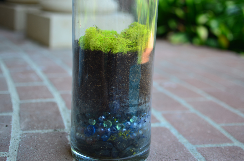 Finished Lavender Terrarium