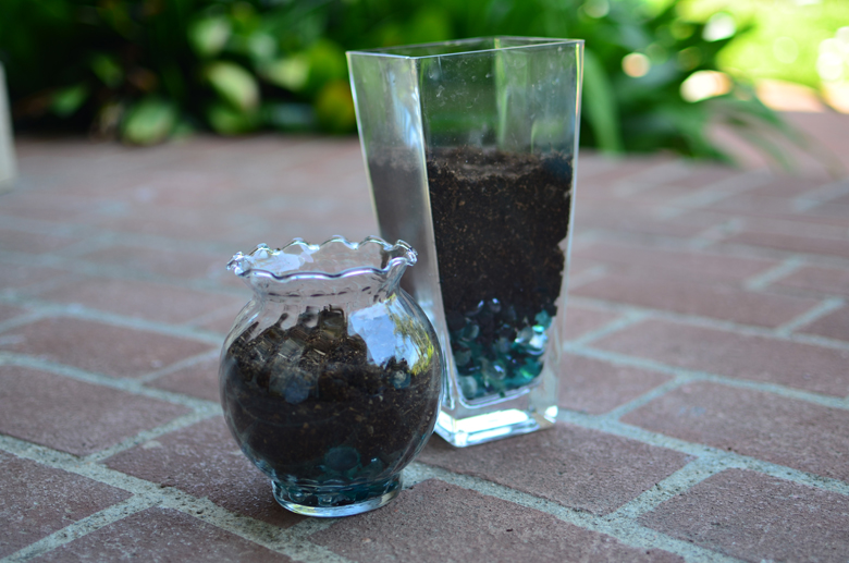 Finished terrariums!