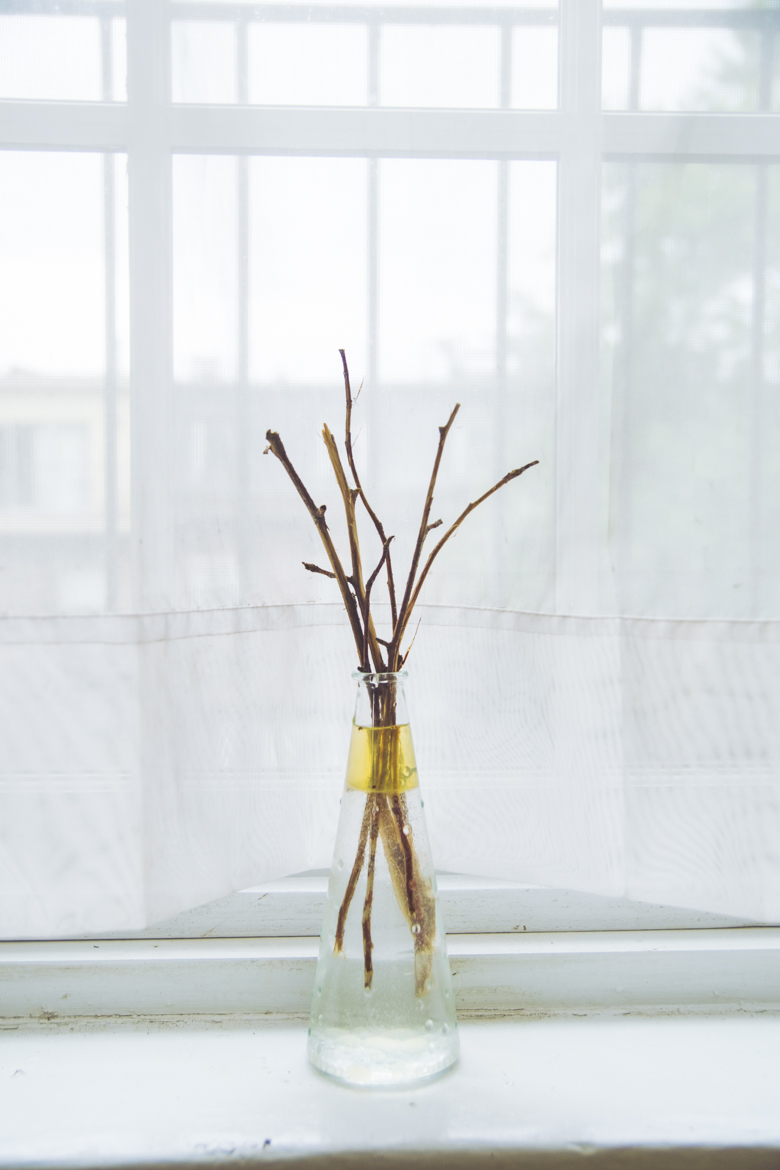 TiffanyBee.com | DIY Rustic Bathroom Diffuser