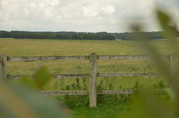 Scenery