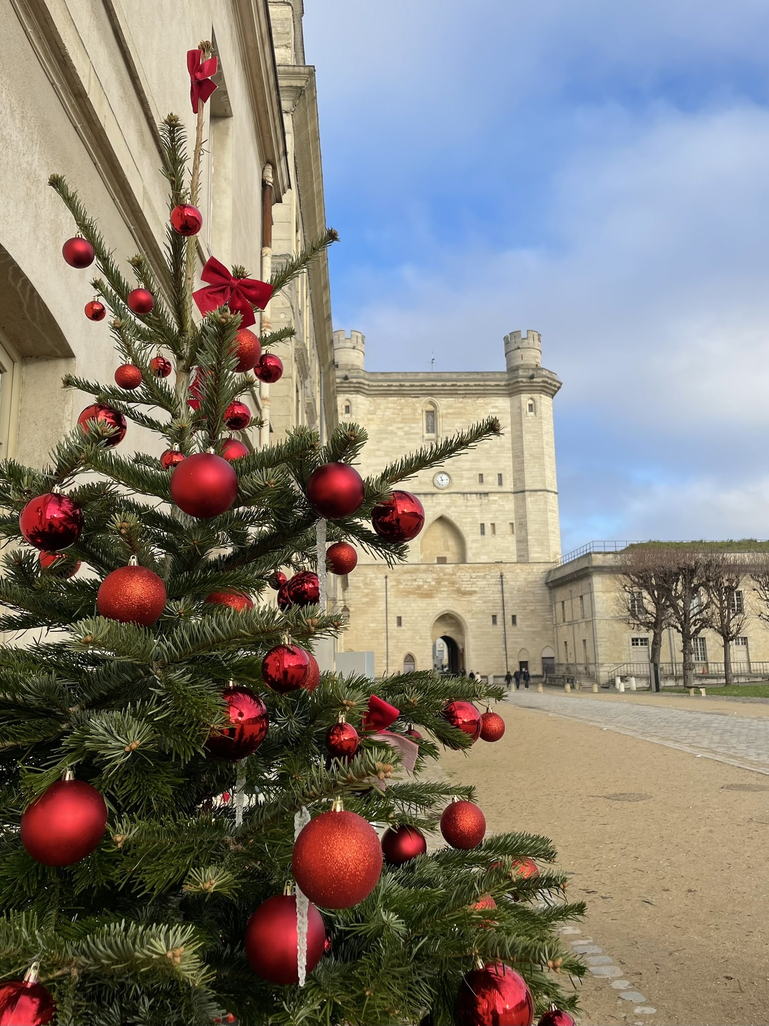 castle courtyard with christmas tree in thre foreground
