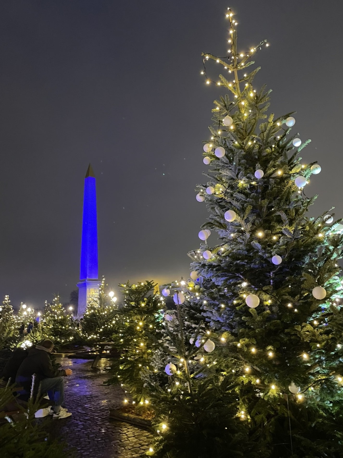 place de concorde at nighttime with christmas tree in the foreground and blue-lit obelisk in the background