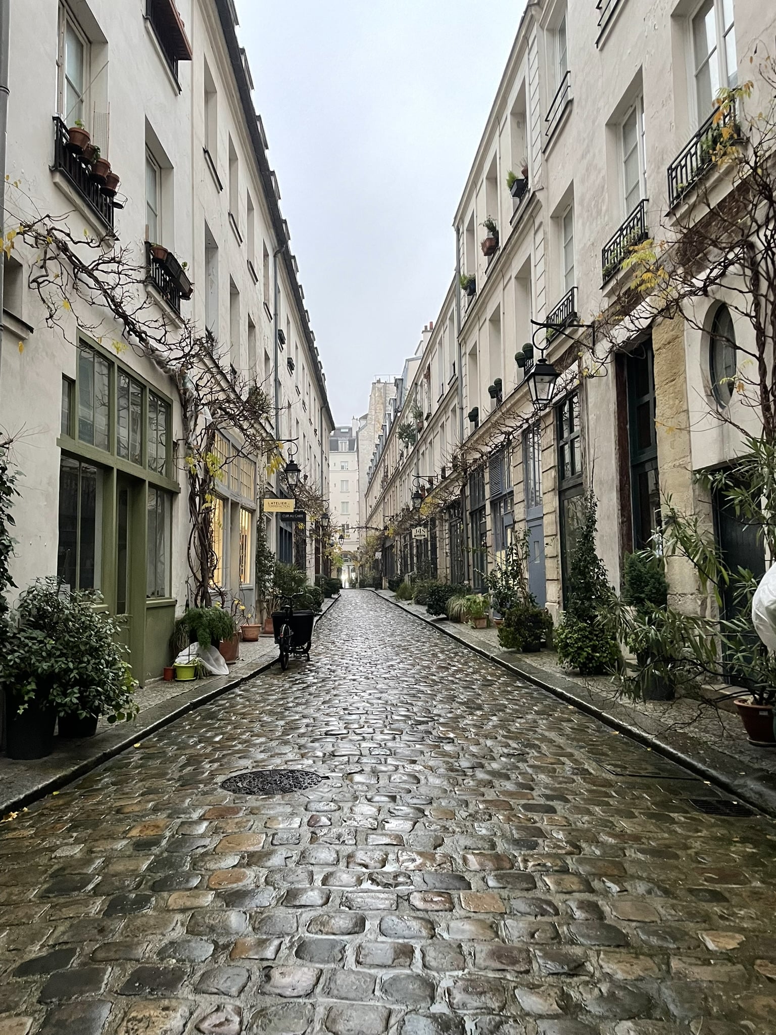 Cobblestoned street, wet with rain