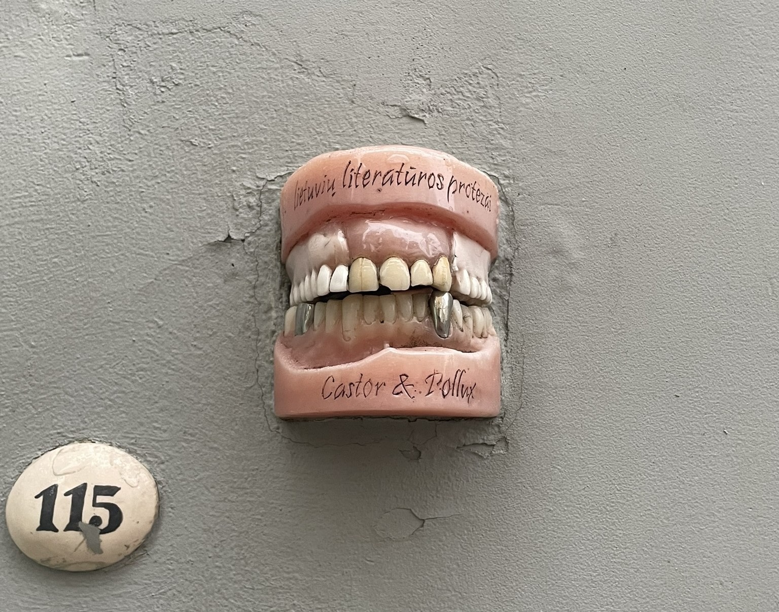 A model of a set of human teeth cemented into a wall