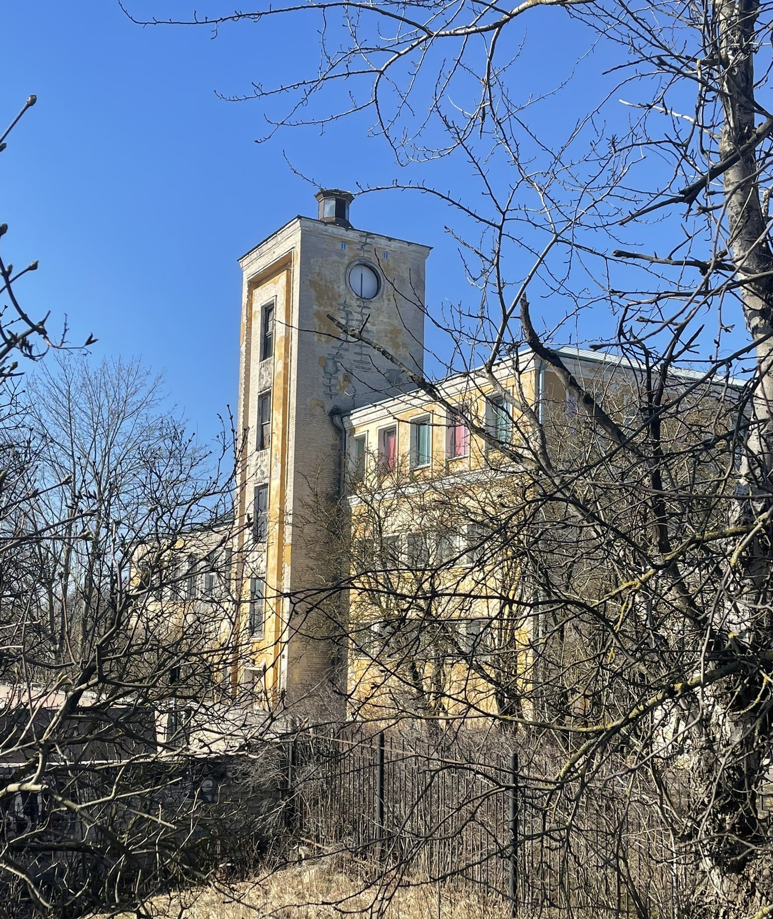 colorful pastel cement building seen through tree branches