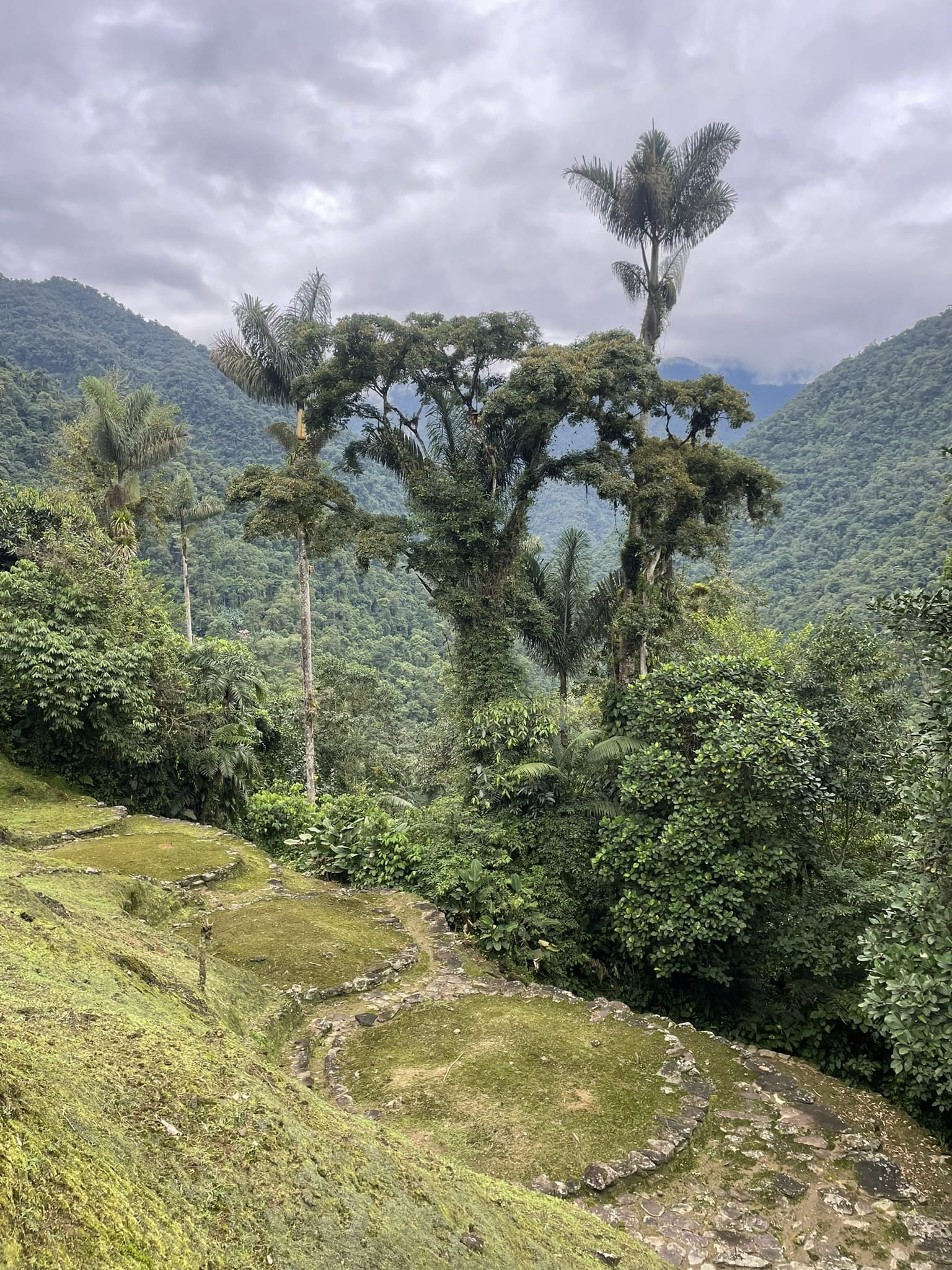 Ciudad Perdida (4)