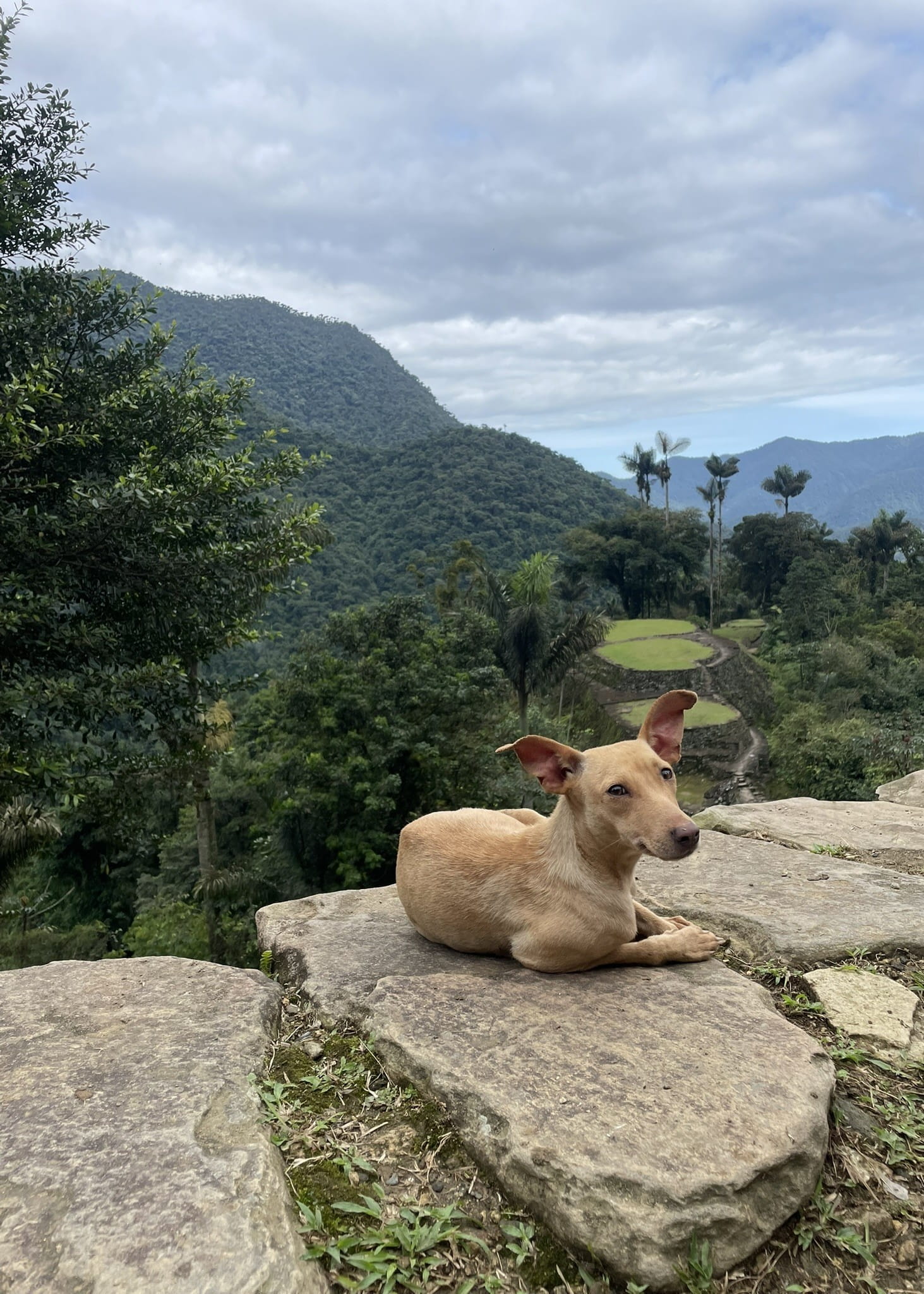 Ciudad Perdida (7)