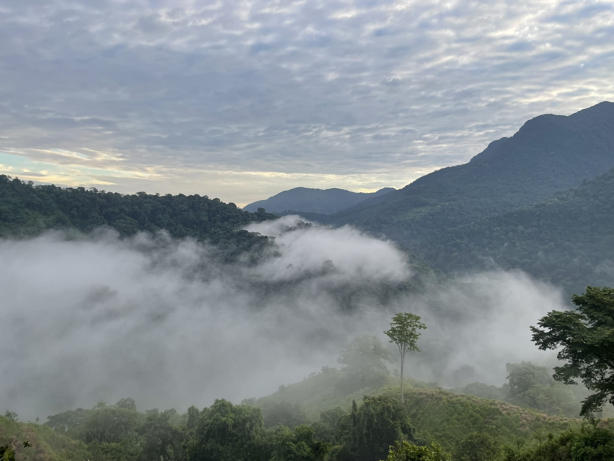 Ciudad Perdida Trek (2)