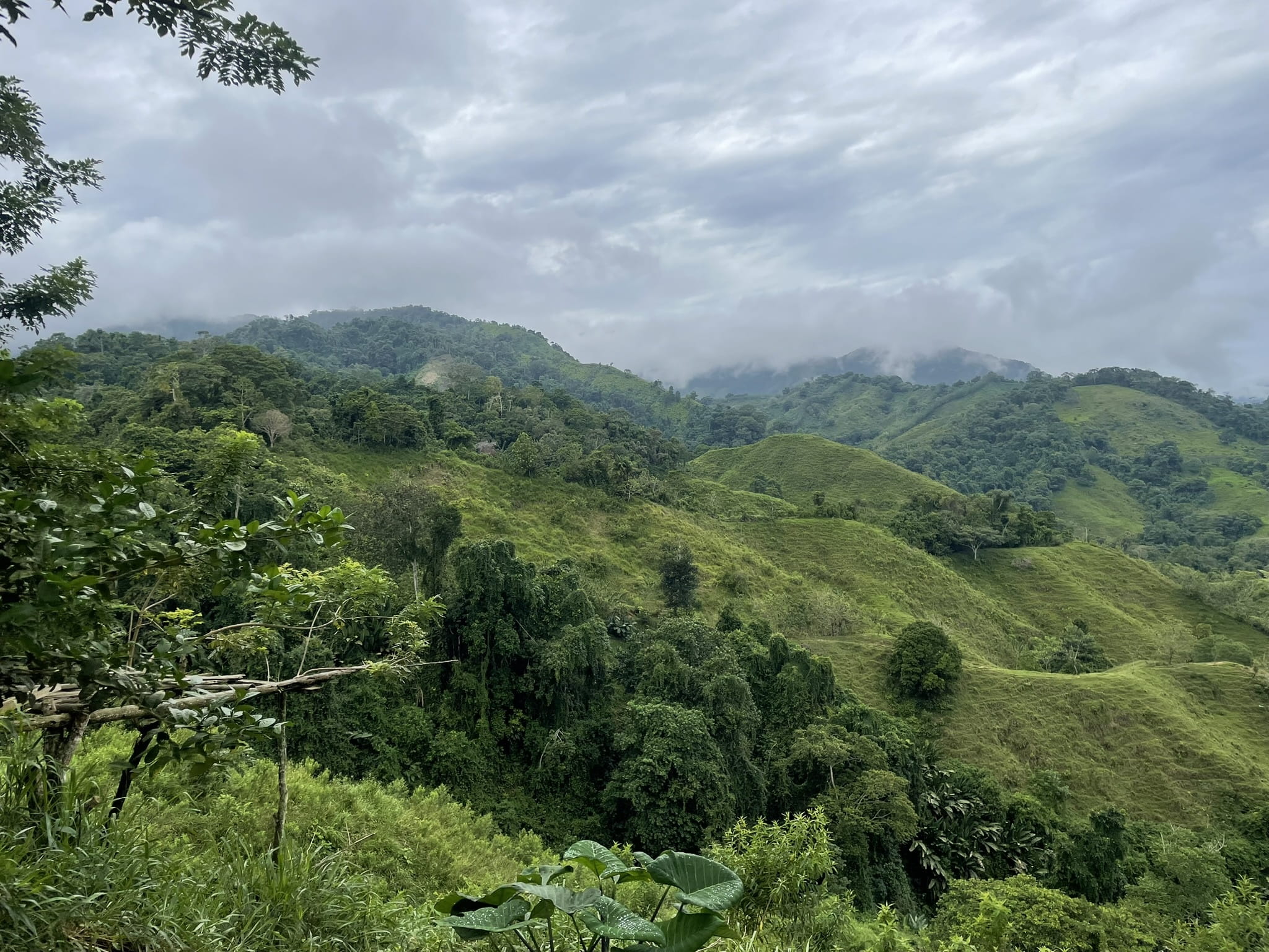 Ciudad Perdida Trek (4)