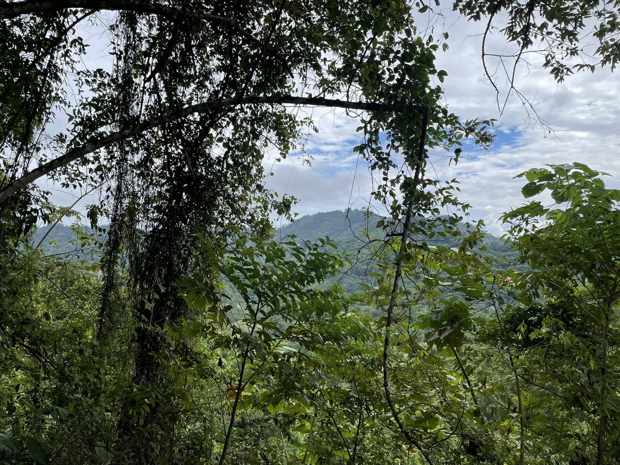 Ciudad Perdida Trek (5)