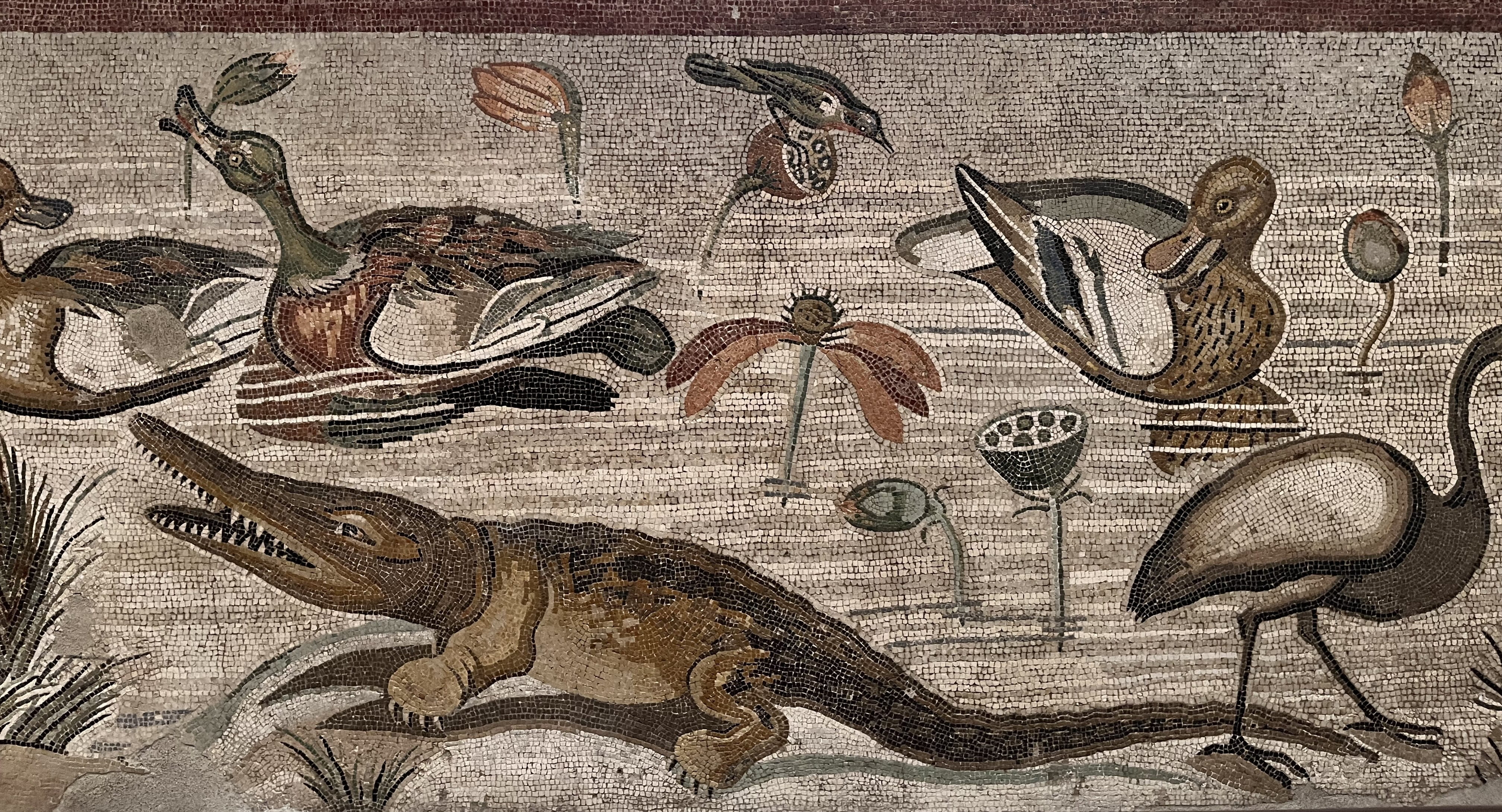 Museo Archeologico (3)
