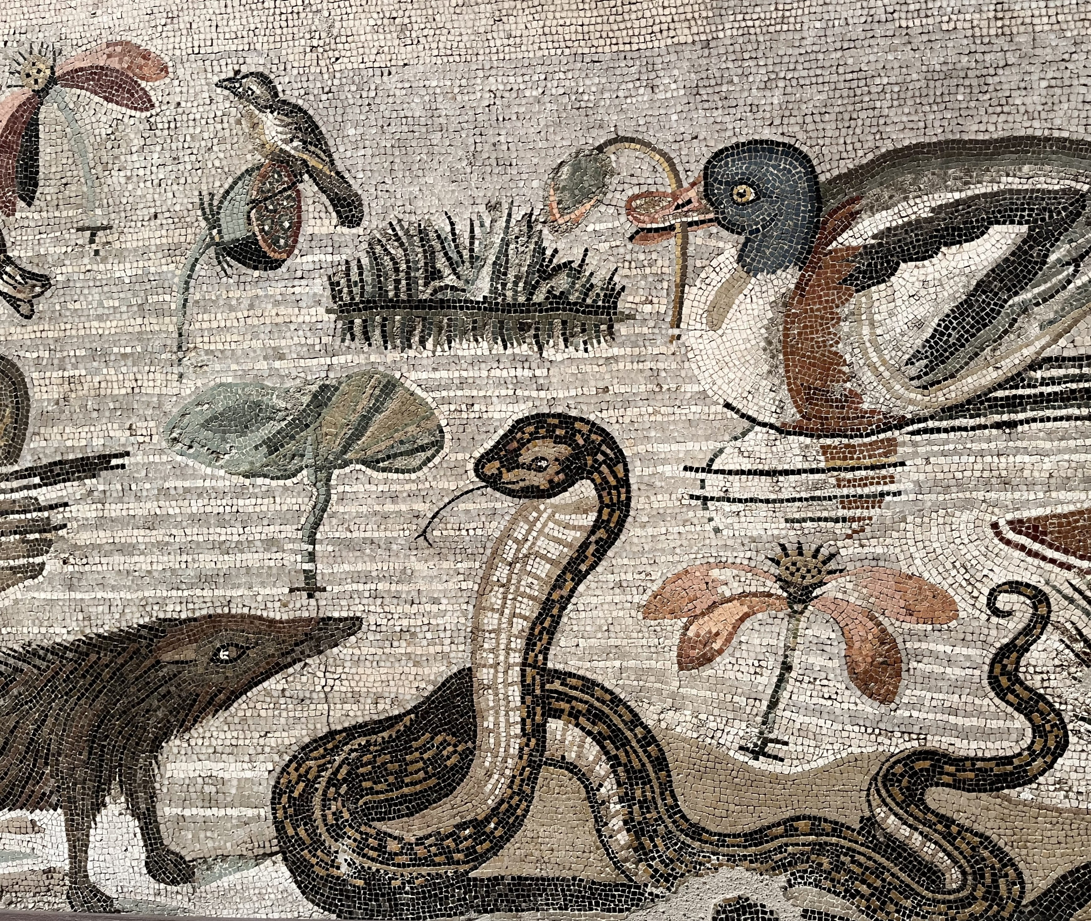 Museo Archeologico (4)