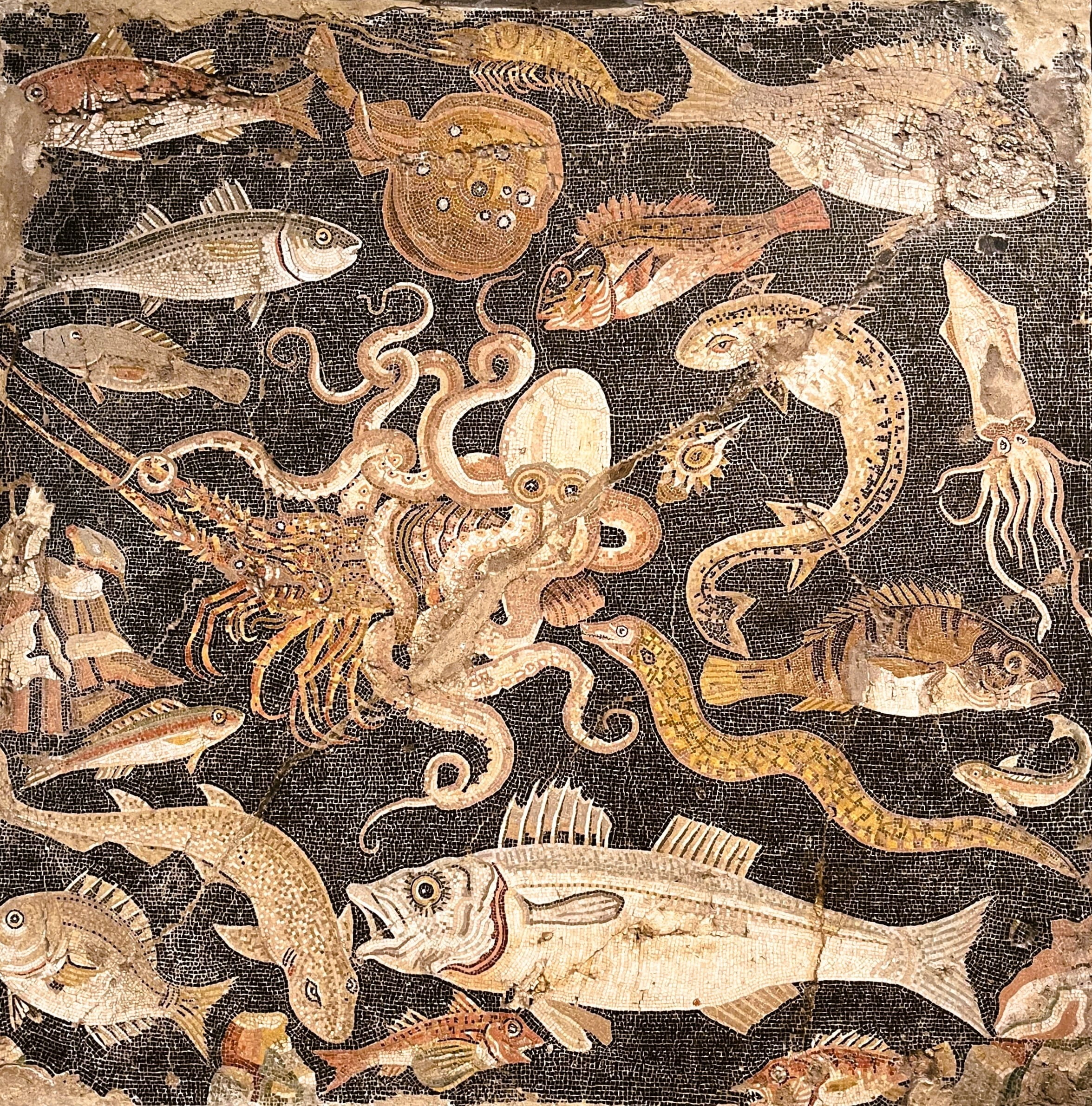Museo Archeologico (5)
