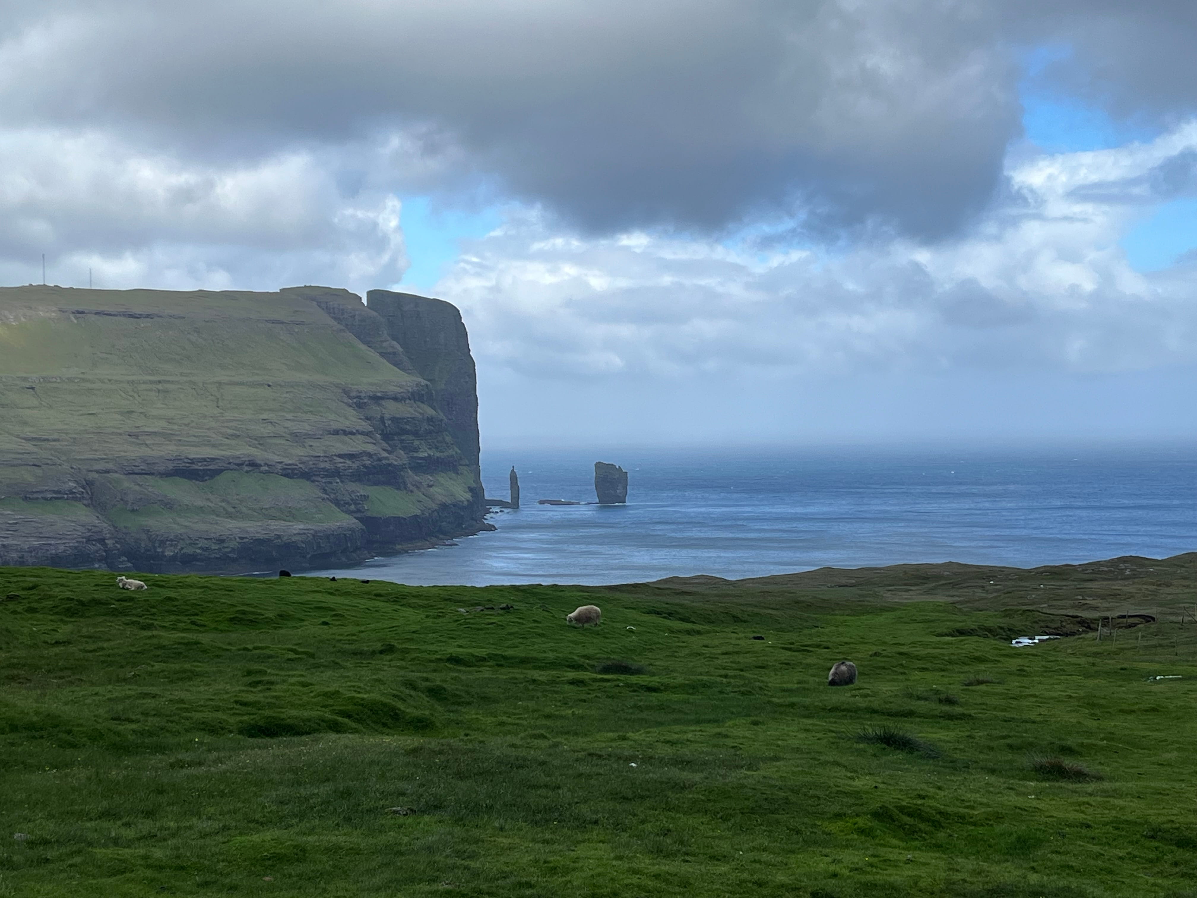 green pasture in the foreground, sea stacks in the distance