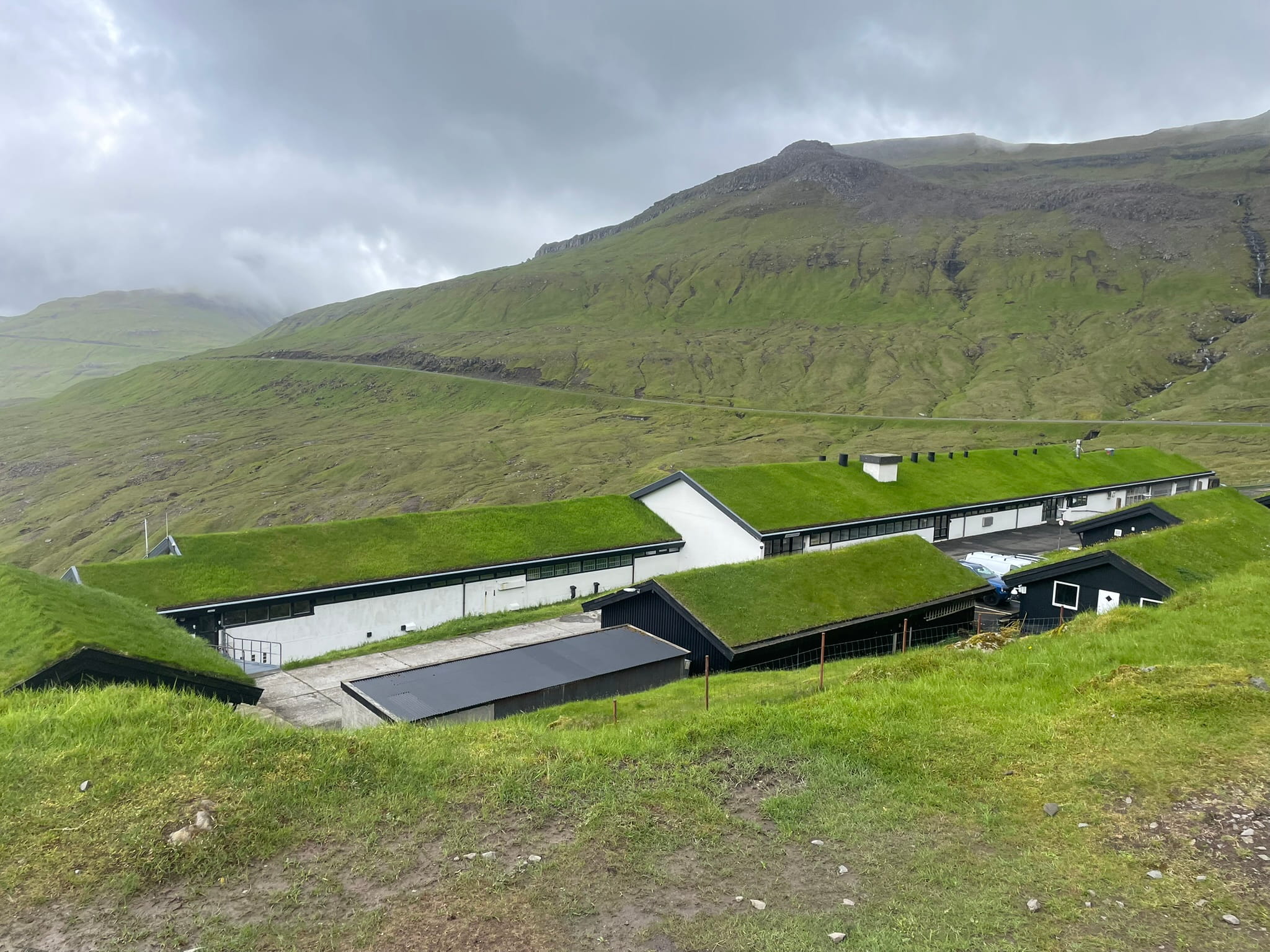 Long white and brown buildings single story with turf roofs