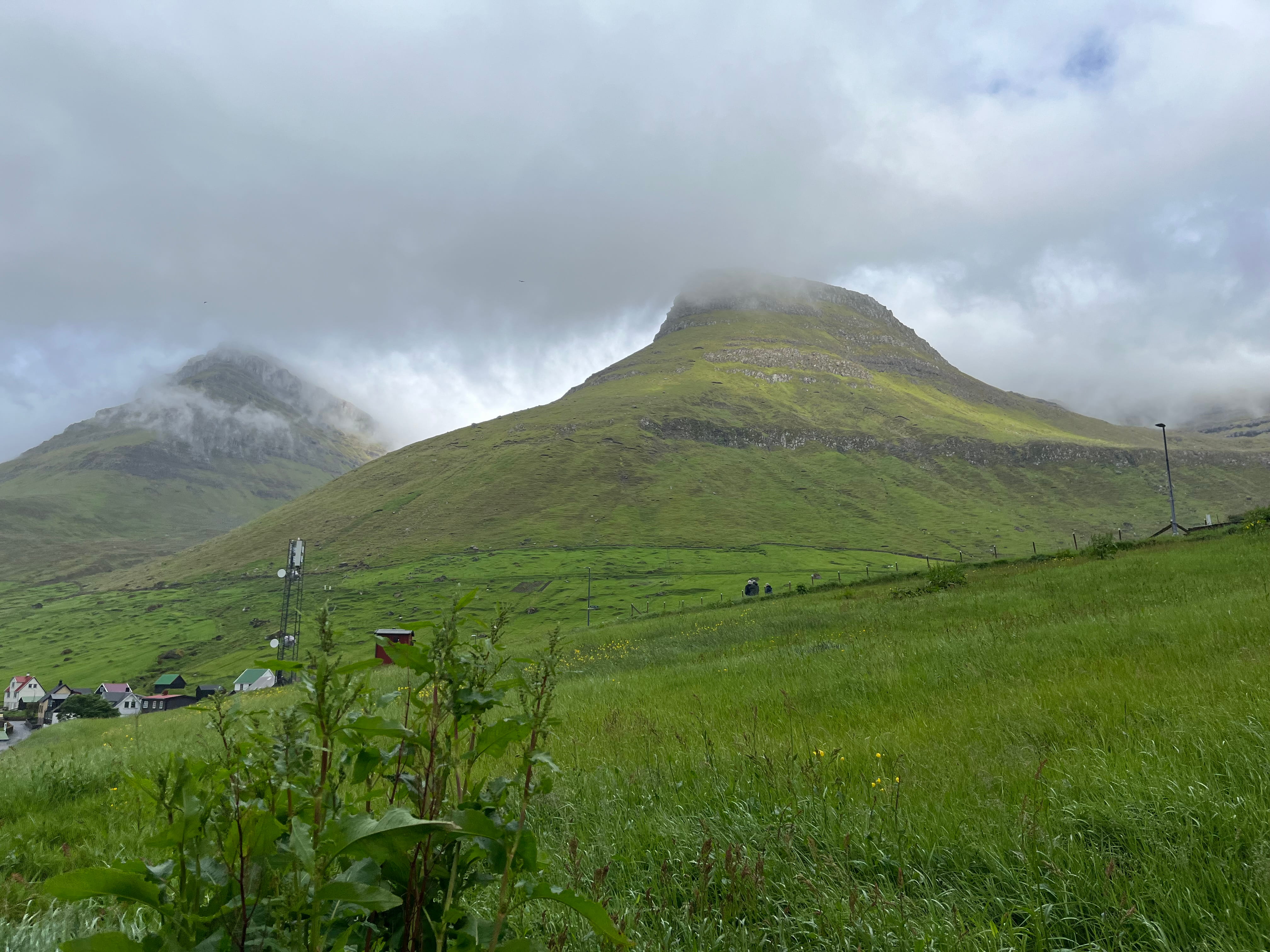 Two green peaks topped by fog