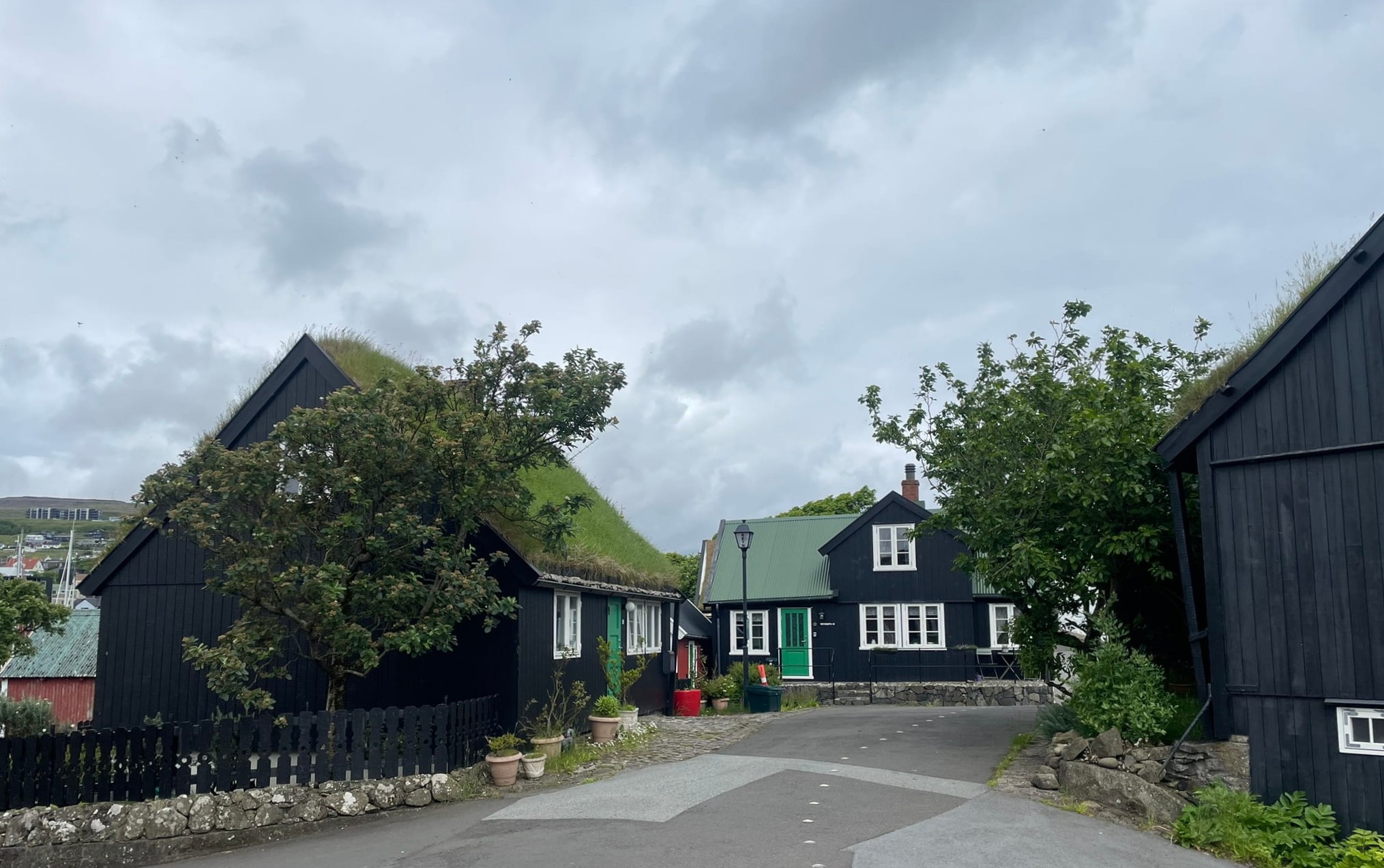 street passing wooden turf-roofed houses