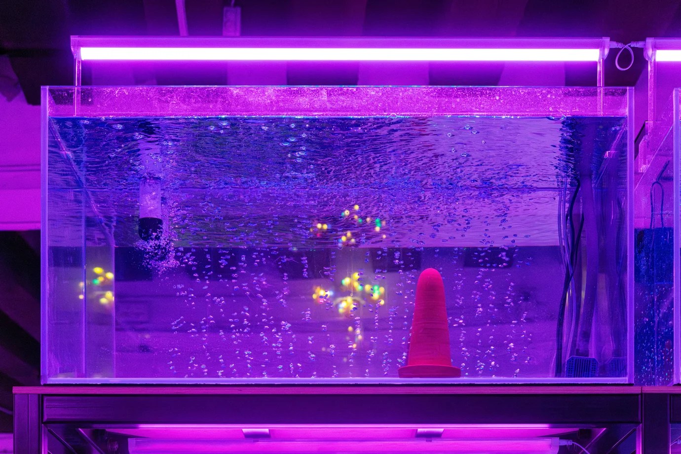 From Hong Kong to Venice: A Conversation between Olivia Chow and Trevor Yeung