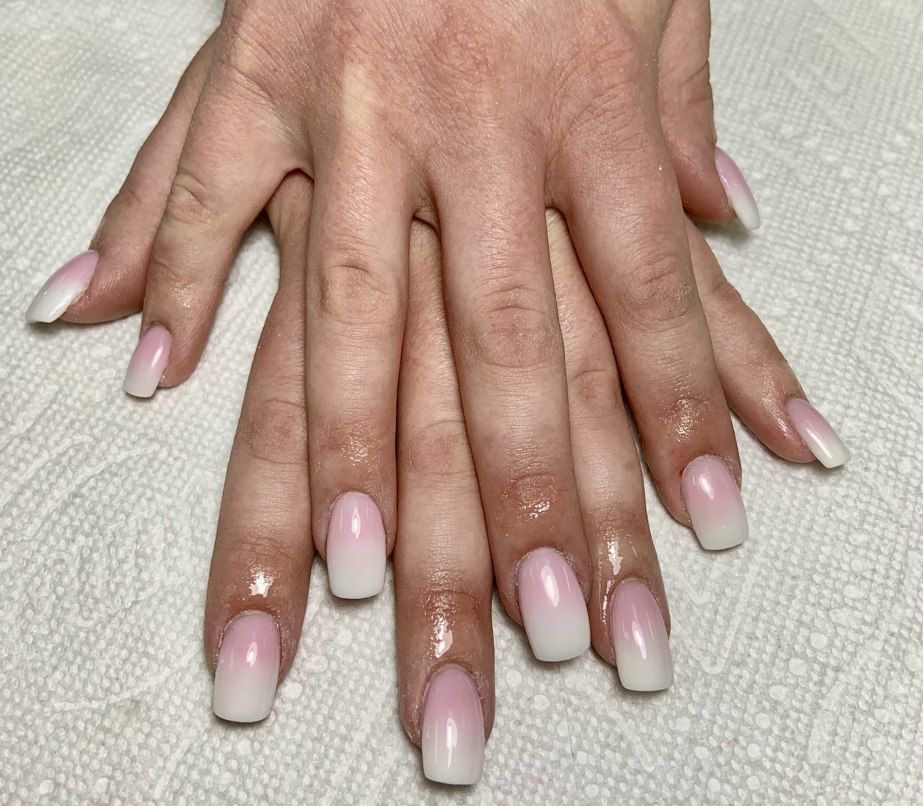 Pink and White Ombré