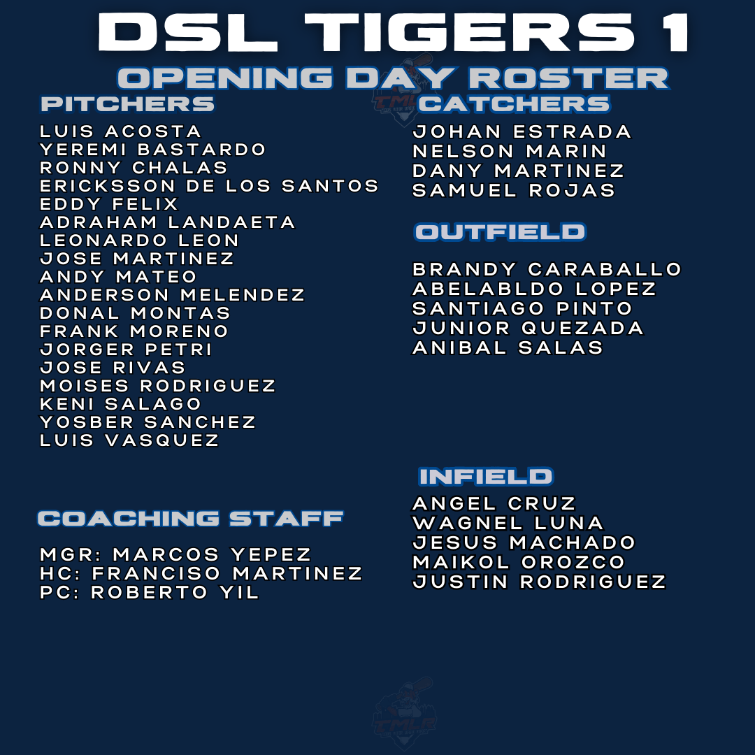 DSL 1